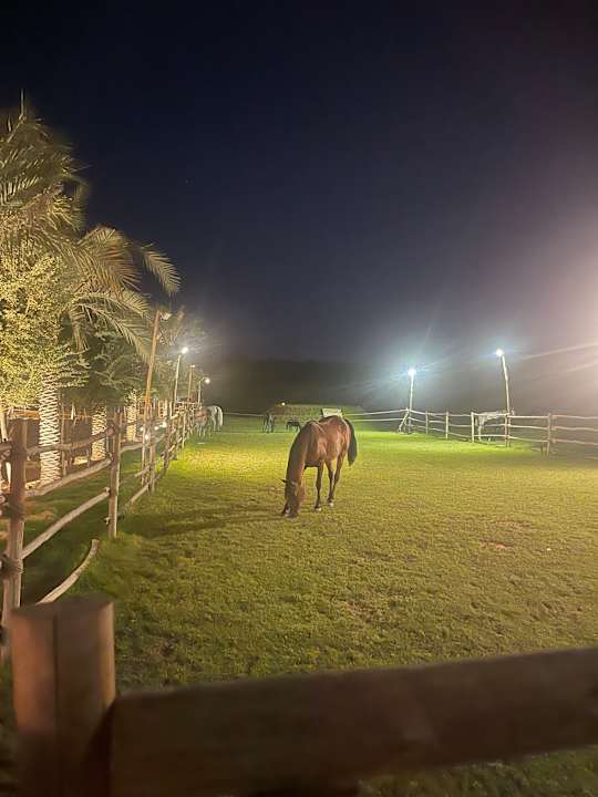 Sport & Freizeit Waldorf Astoria Dubai Palm Jumeirah