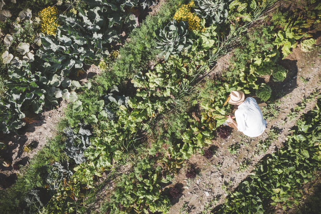 Gartenanlage Hotel Alte Mühle