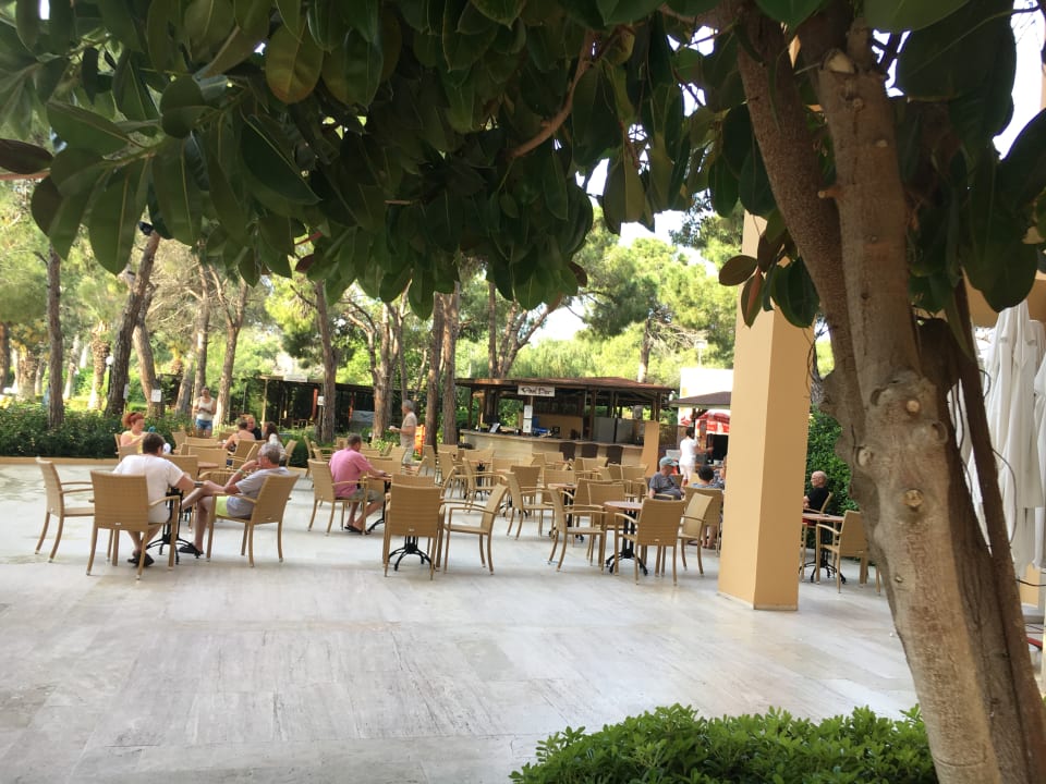 Pool Asteria Collection Side