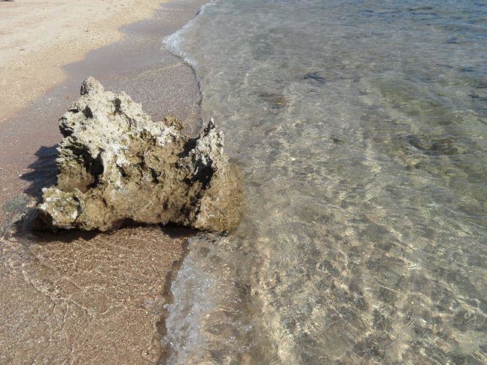 Woda Hotel Continental Plaza Beach