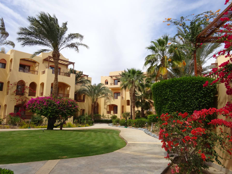 Gartenanlage Steigenberger Coraya Beach - Adults only