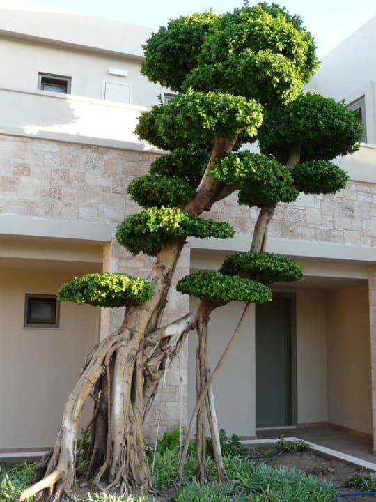 Baum Aquagrand Artistic Luxury Beach Resort - Adults only