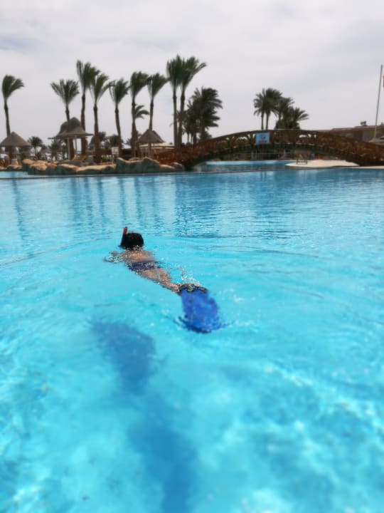 Pool Parrotel Beach Resort