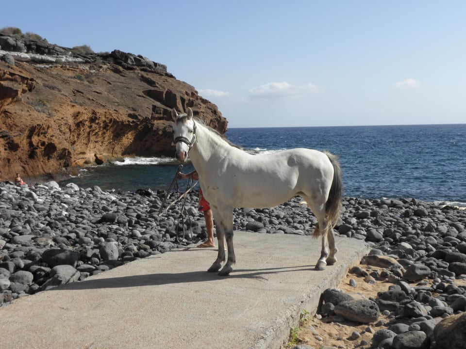 Hotelstrand und Badegäste Bahia Principe Sunlight Costa Adeje