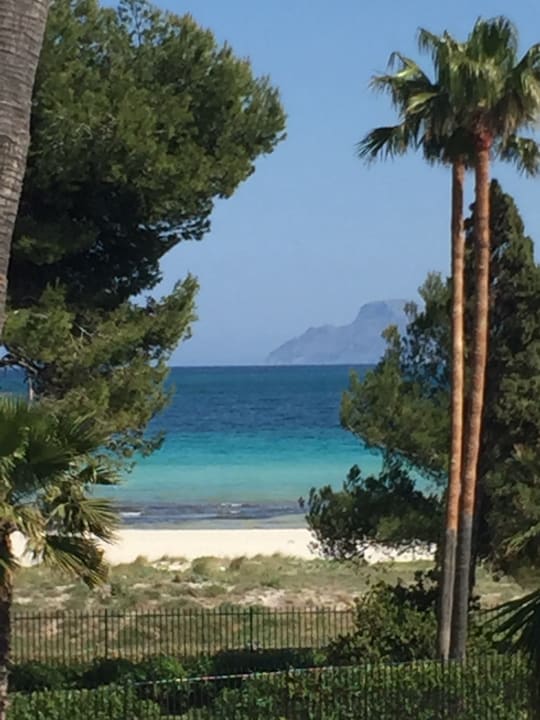 Ausblick allsun App.-Hotel Orquidea Playa