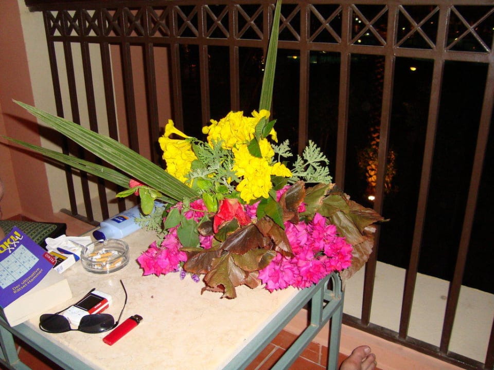Balkonblumen Jaz Makadi Saraya Resort