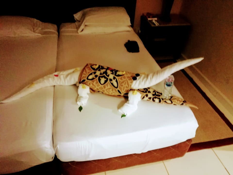 Zimmer Jaz Dar EL Madina