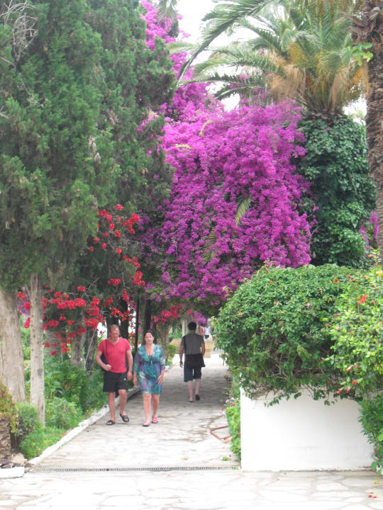 Weg zum Strand The Orangers Beach Resort and Bungalows