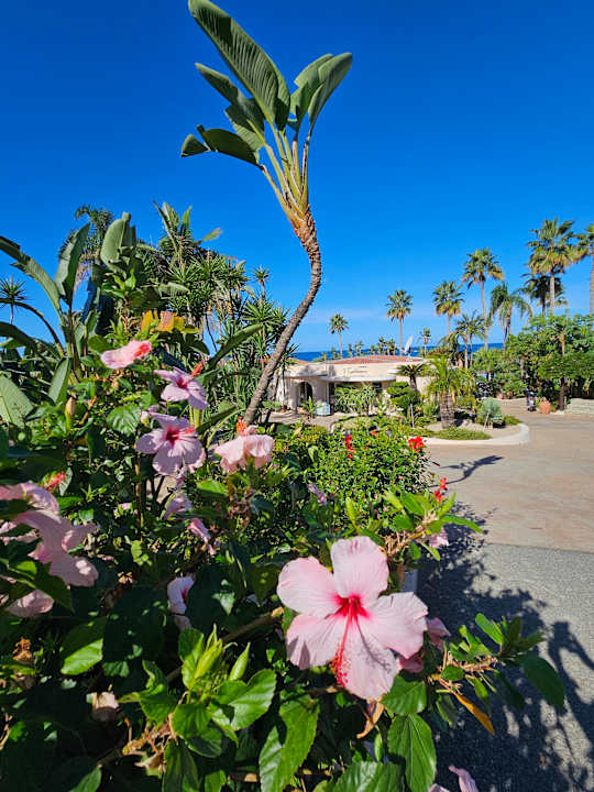 Außenansicht Hotel Villaggio Il Gabbiano