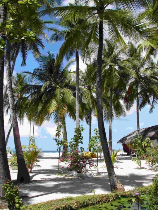 Zum Träumen schön Thulhagiri Island Resort