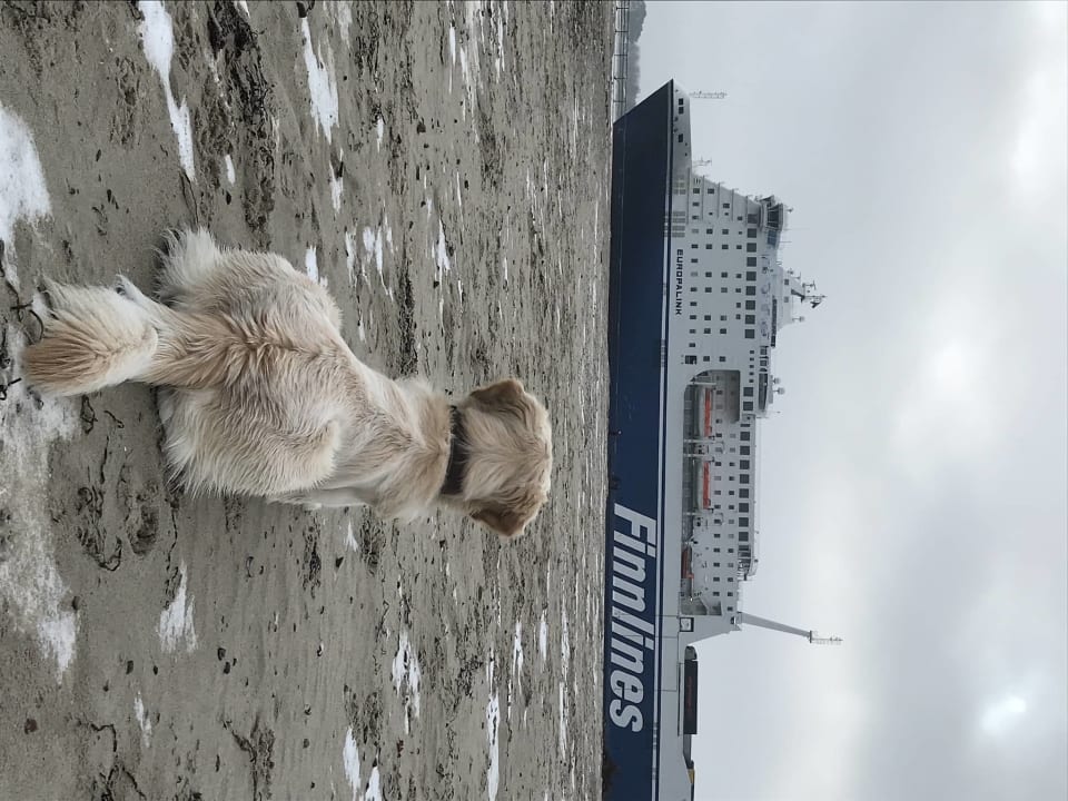 Strand aja Travemünde