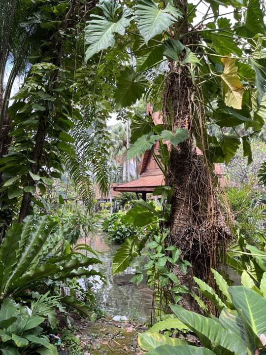 Gartenanlage Avani Pattaya Resort