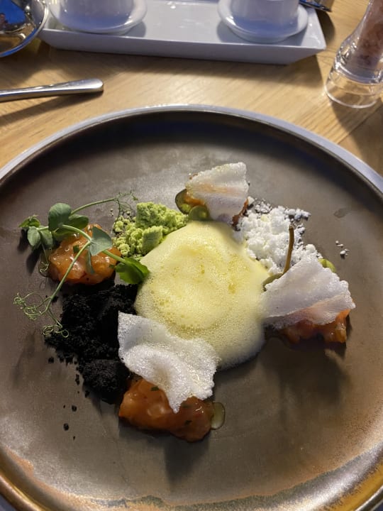 Gastro Acanthus Cennet Barut Collection