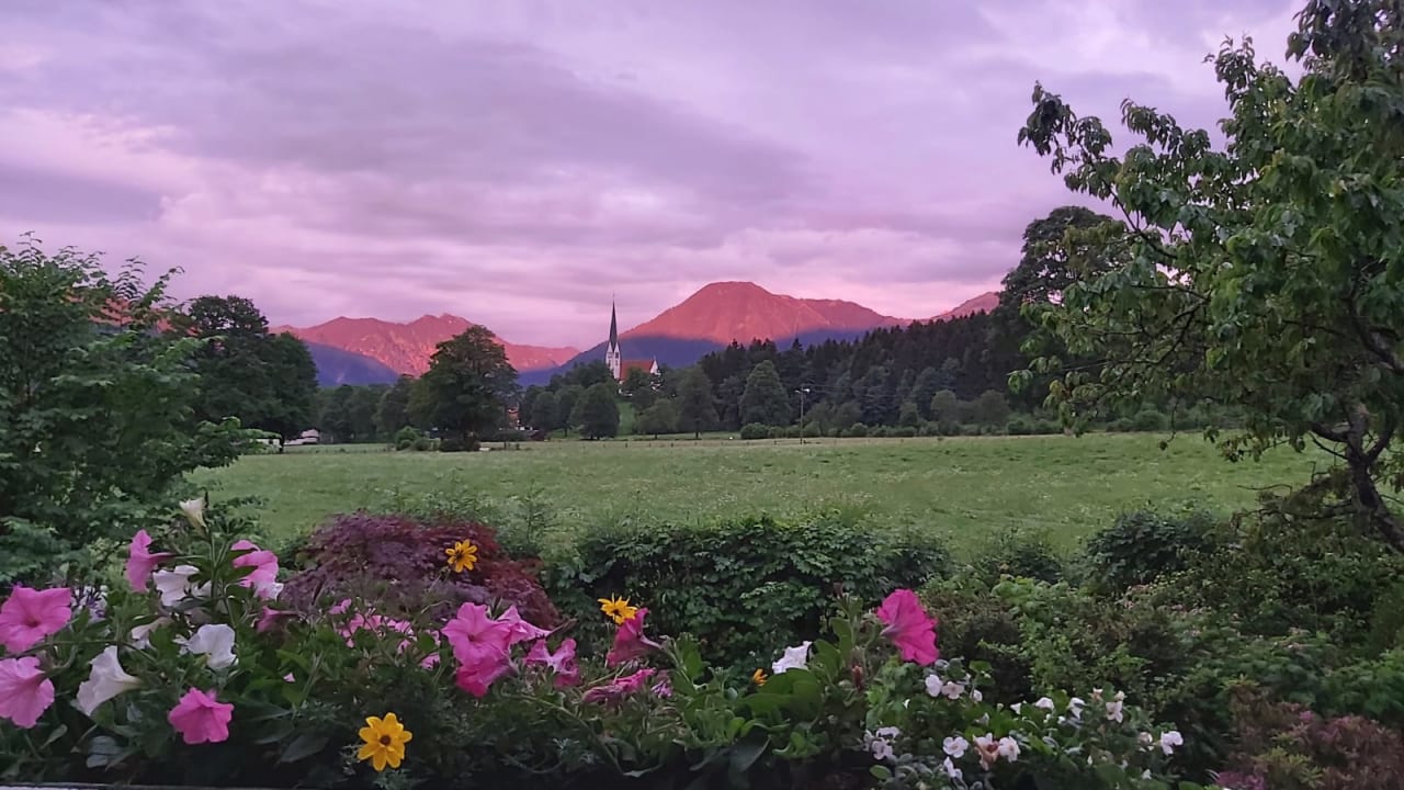 Ausblick Ferienwohnungen Wildbachhäusl