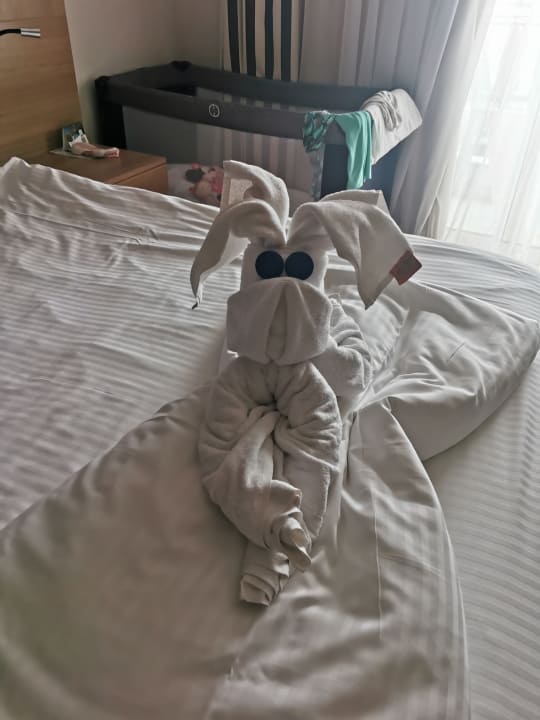 Zimmer Hotel Delphin Imperial