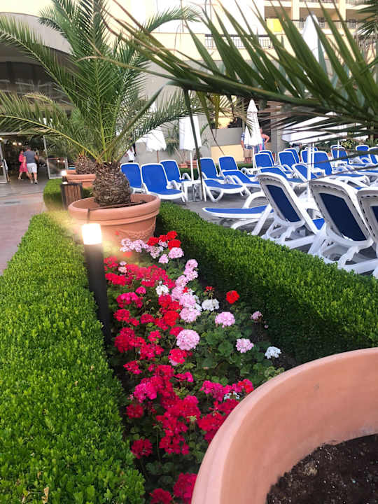 Zimmer Meliá Sunny Beach