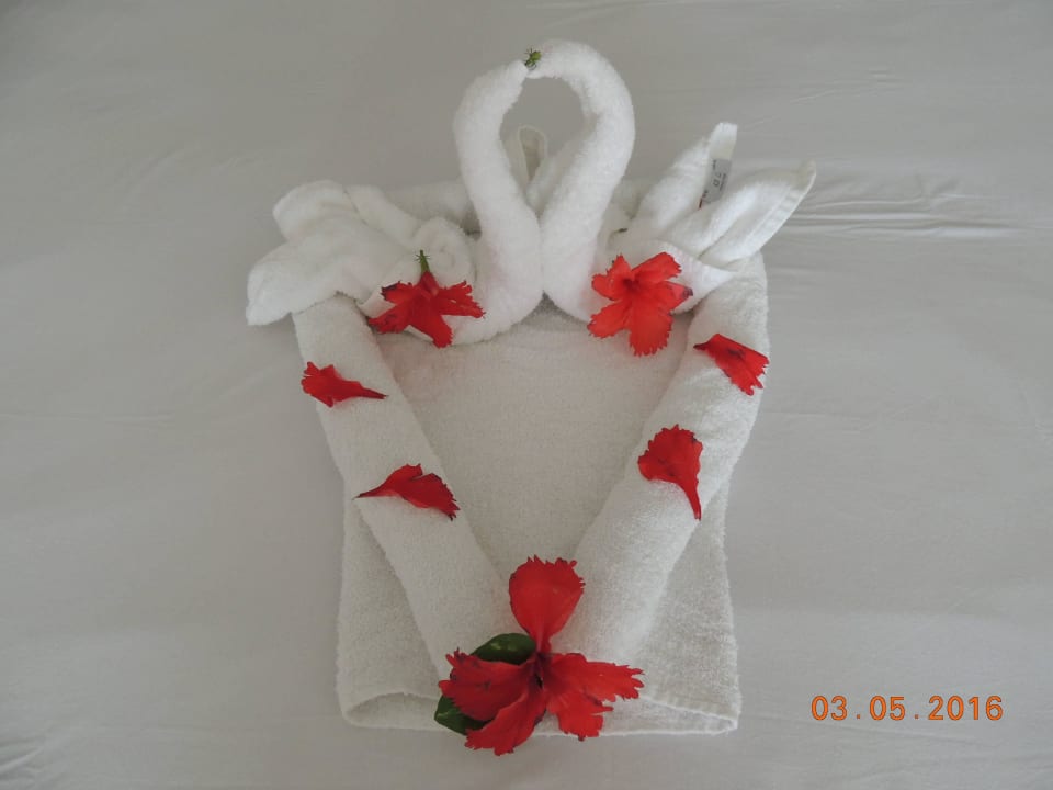 Dekorration zum Geburtstag Punta Cana Princess All Suites Resort & Spa