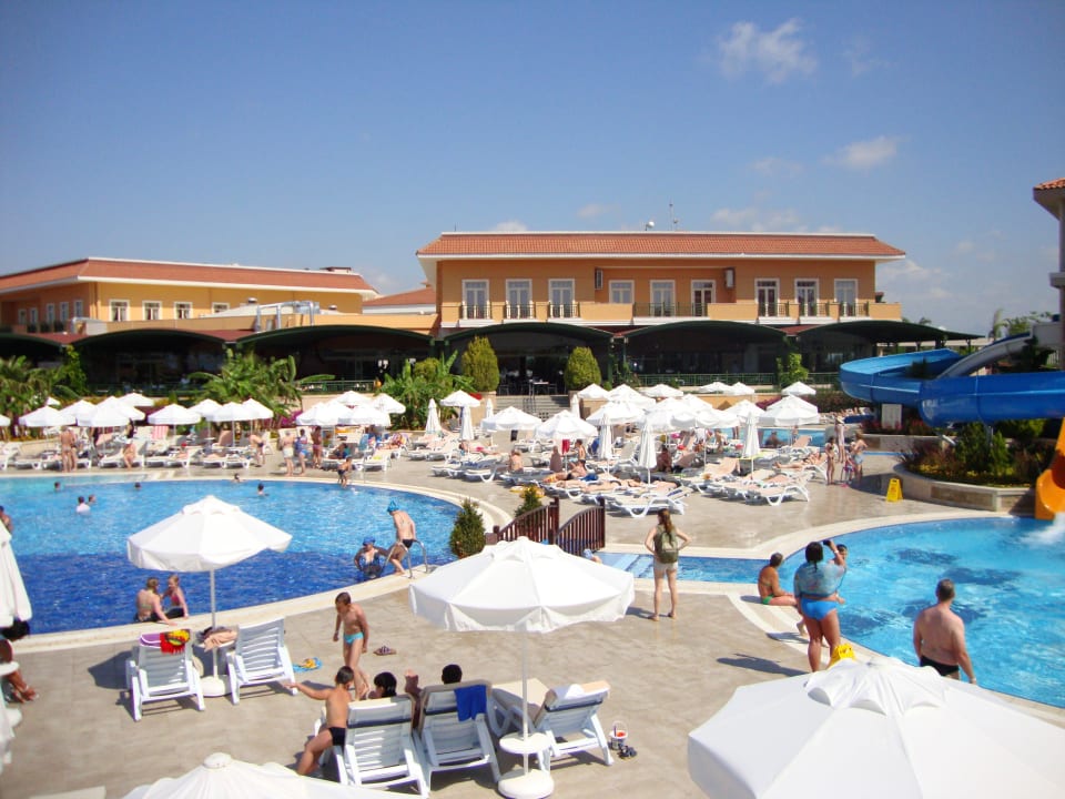 Gezellig druk Crystal Paraiso Aqua Collection