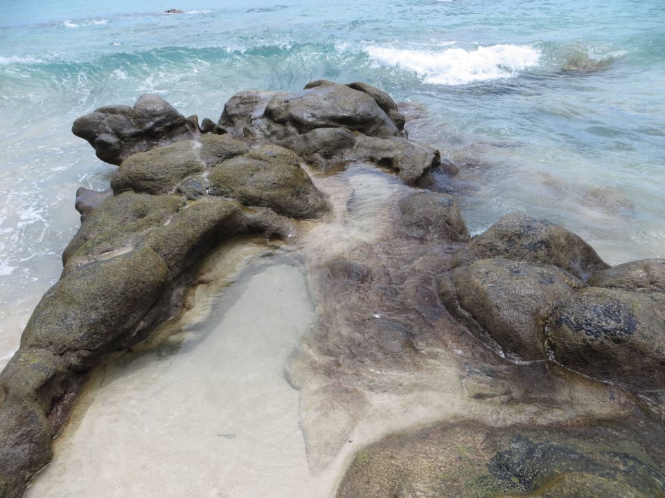 Sehr sauberes Wasser zwischen den Steinen TUI MAGIC LIFE Fuerteventura