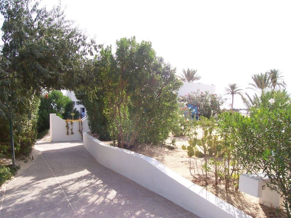 ein Weg zum Strand Hotel Sangho Club Zarzis
