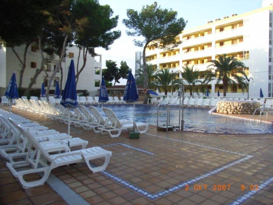 Pool Moon Dreams Coral Beach