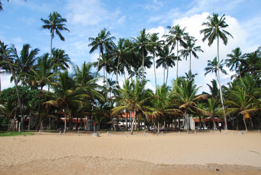 Blick in die Anlage Mermaid Hotel & Club