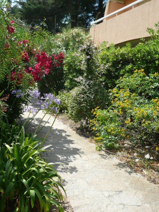 Cesta zahradou Le Domaine De La Pinède