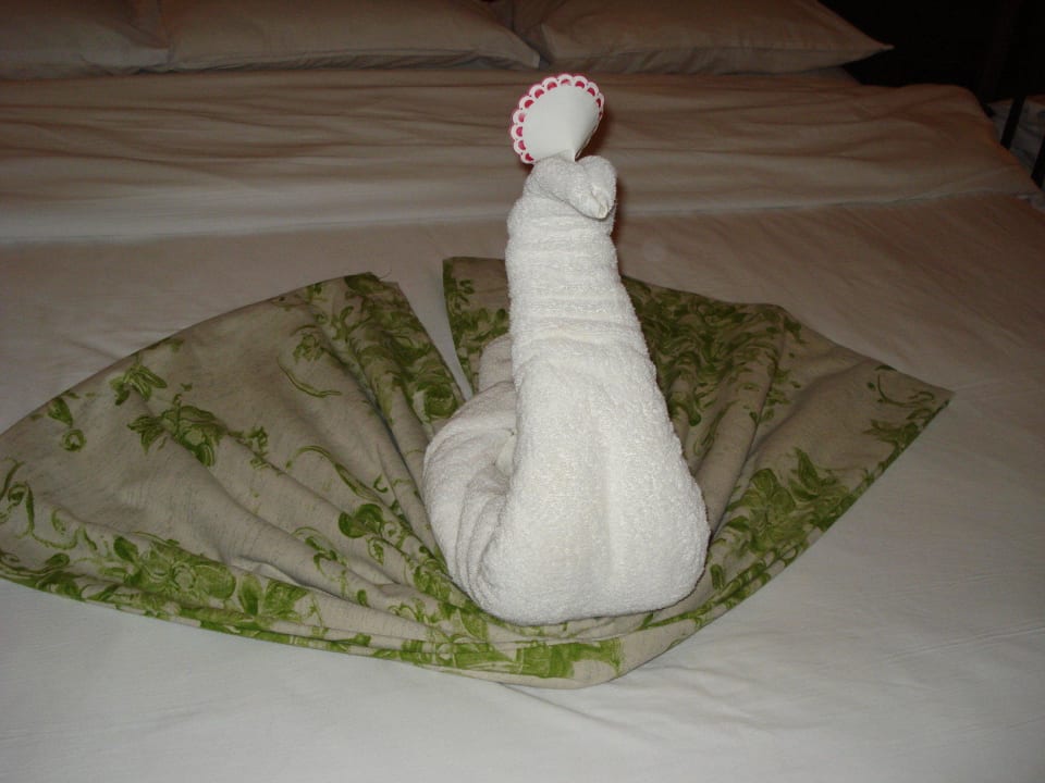 Deko aus Handtüchern Ghazala Gardens