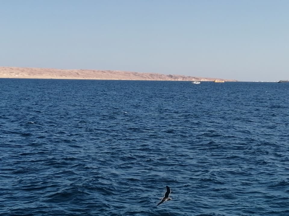 Ausblick Arabella Azur Resort