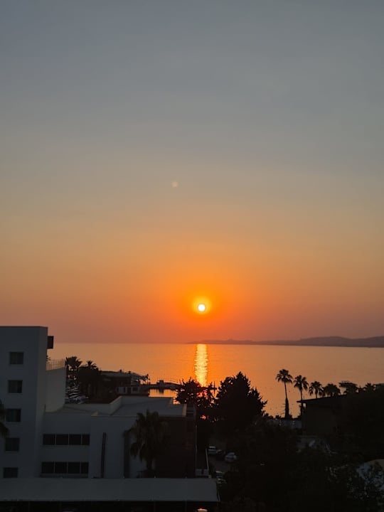 Ausblick Rubi Platinum Sign