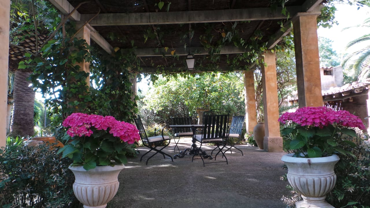 Garten Hotel Finca Raims