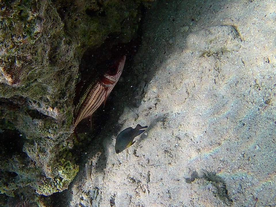Strand Three Corners Sea Beach Resort