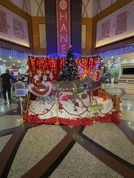 Lobby Hane Family Resort