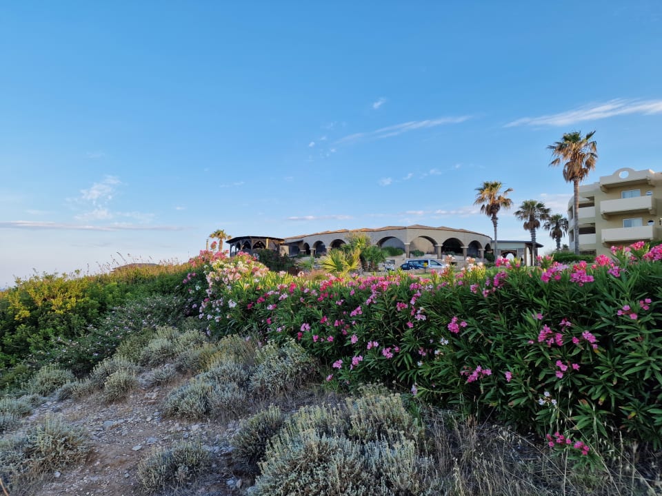 Gartenanlage Hotel Kalithea Horizon Royal