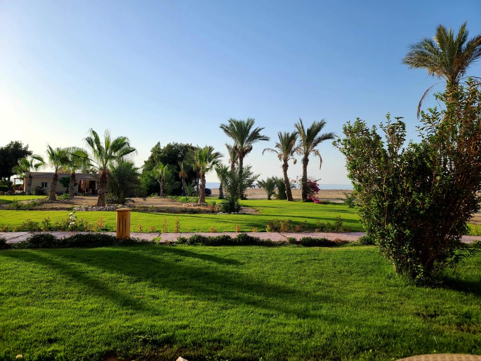 Gartenanlage Wadi Lahmy Azur Resort