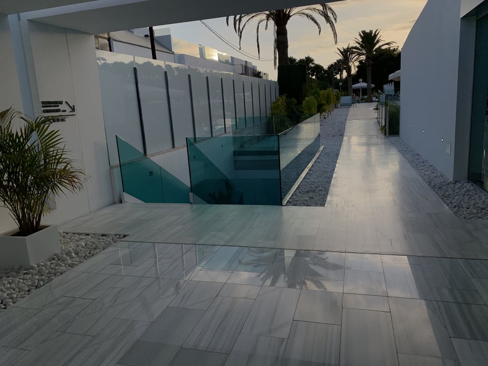 Sonstiges Canary Garden Club