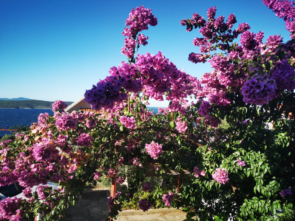 Gartenanlage Nautilus-Bay