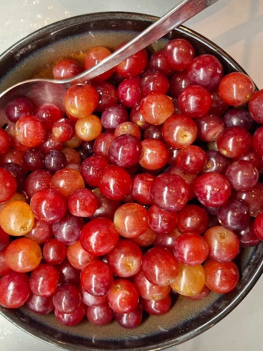 Gastro Hotel NH Collection Heidelberg