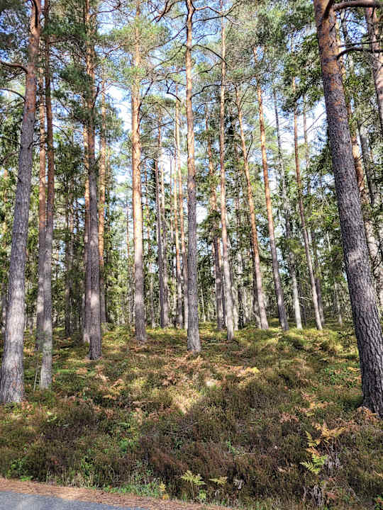 Ausblick Best Western Hotel Stadshotellet Vimmerby