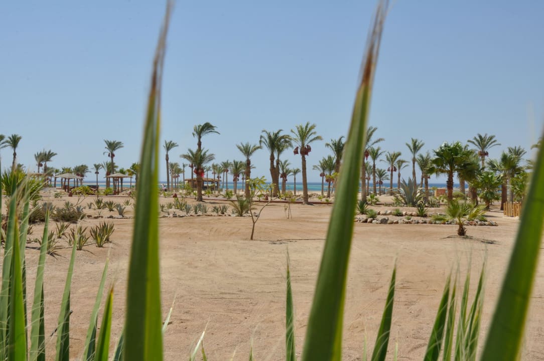 Gartenanlage ROBINSON SOMA BAY