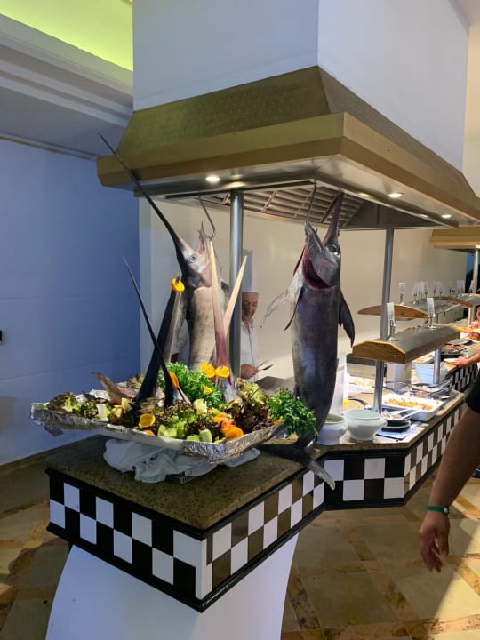 Gastro Hotel Marhaba Club