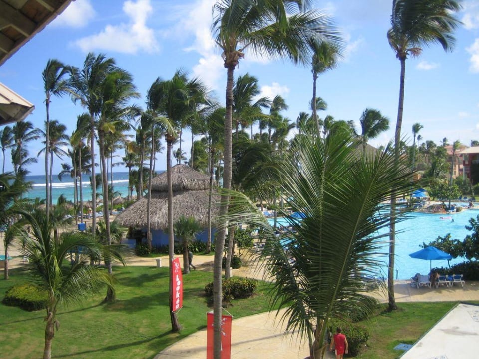 Basen - widok z pokoju Royalton Splash Punta Cana