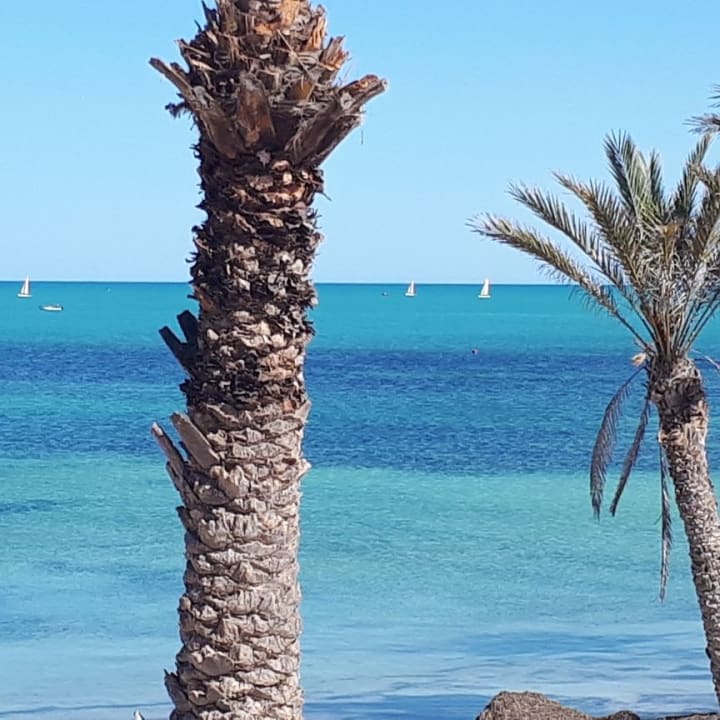Ausblick Hotel El Mouradi Djerba Menzel