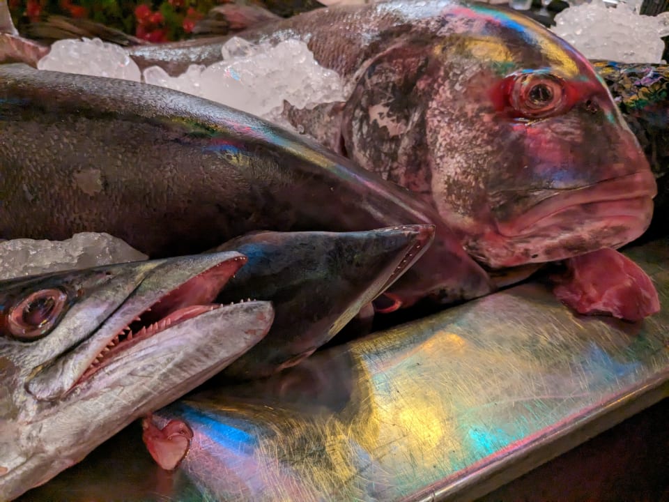 Gastro ROBINSON SOMA BAY