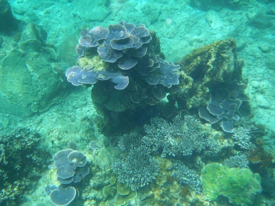 Unterwasser The Taaras Beach & Spa Resort