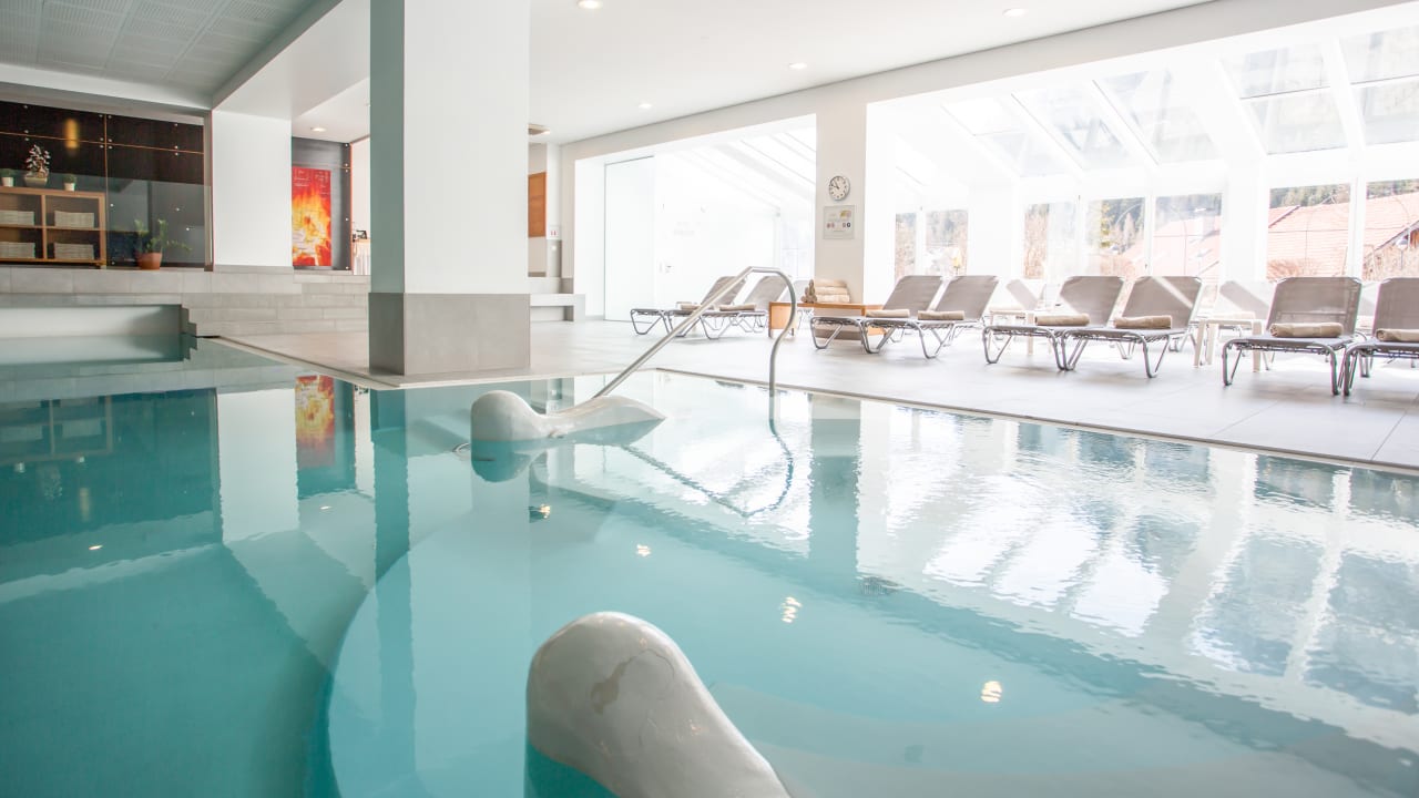 Pool Hotel Mein Almhof Superior