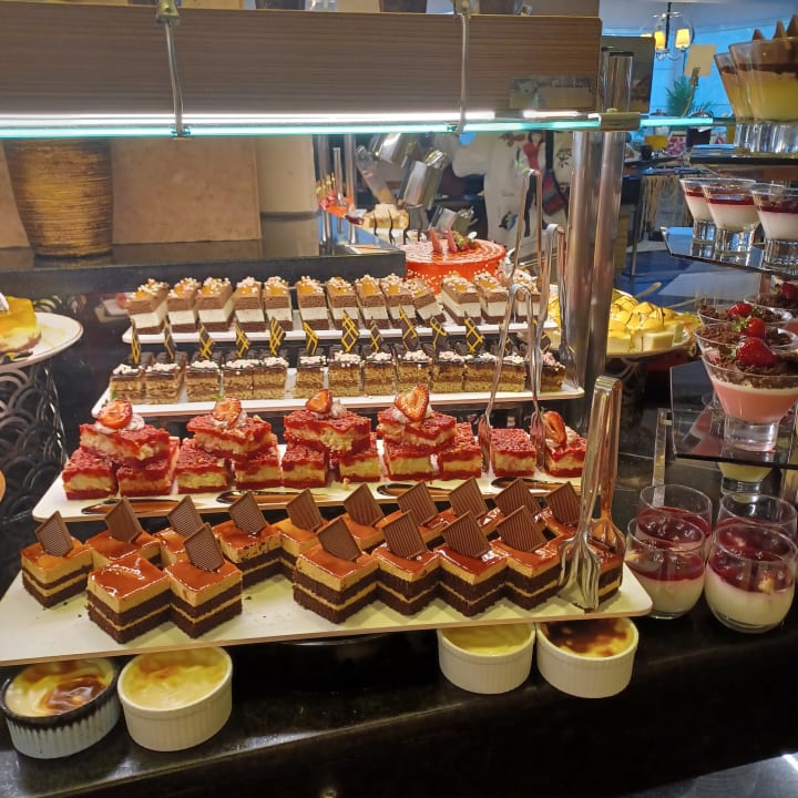 Gastro Papillon Ayscha