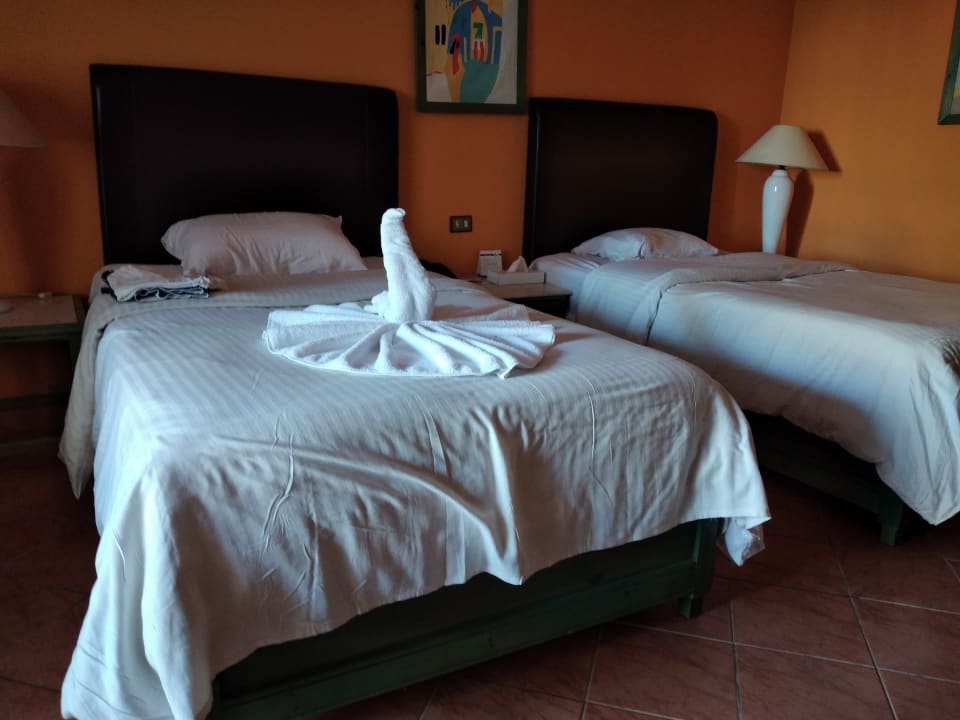 Zimmer Arabia Azur Resort