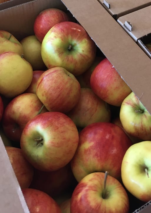 Gastro Wilfinger Bio Thermen Hotel