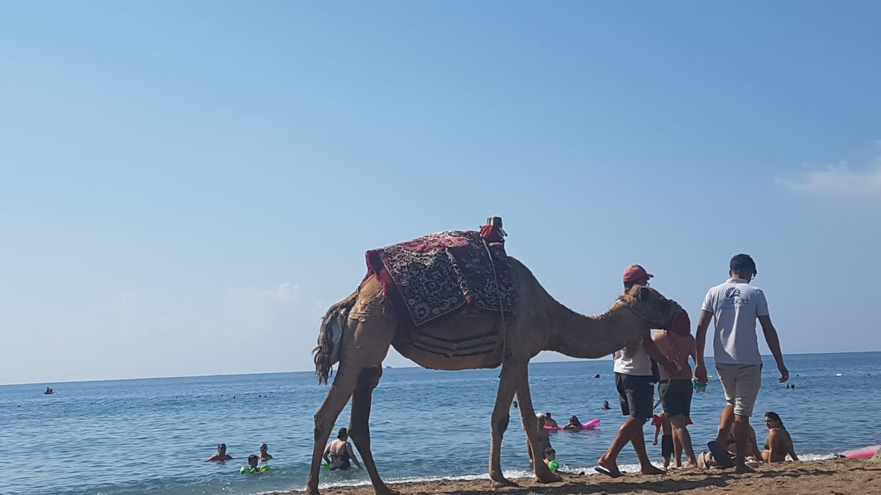 Strand Limak Lara Deluxe Hotel & Resort